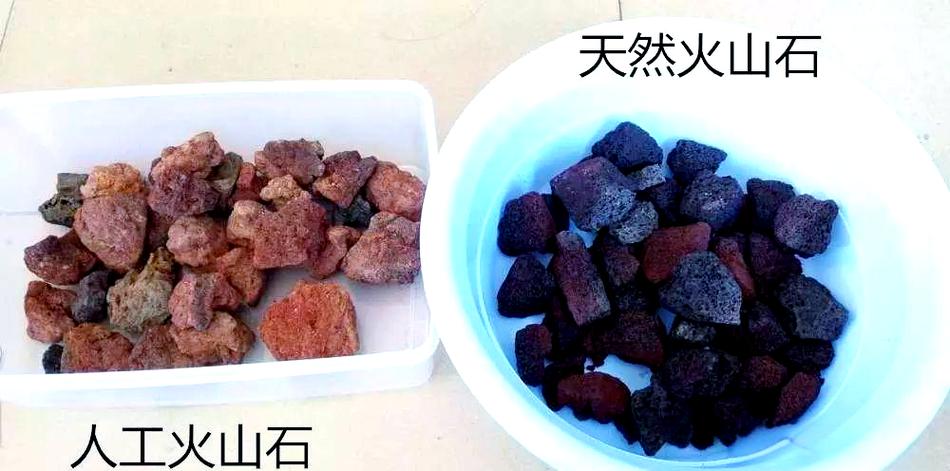火山石真假对照图
