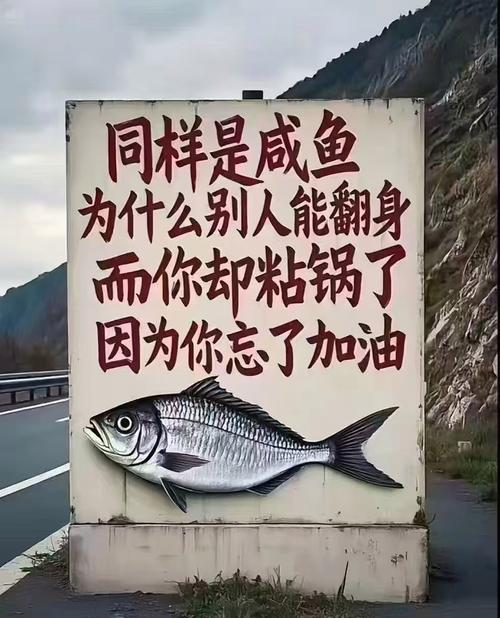 咸鱼翻身什么意思