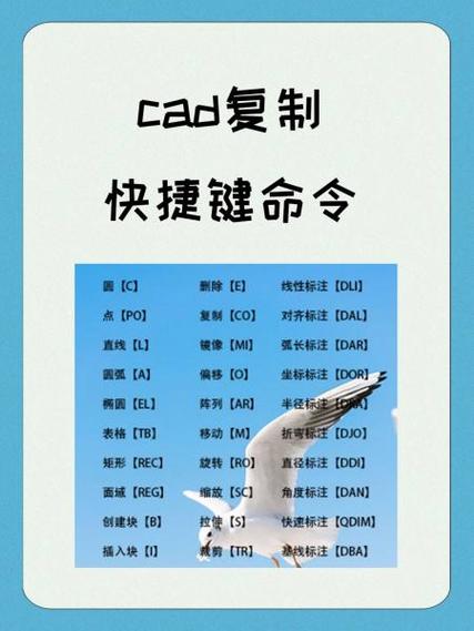 复制命令是指什么
