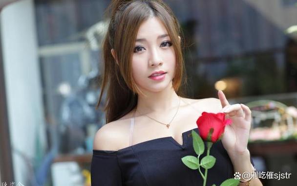 冰山美人张美娴全文