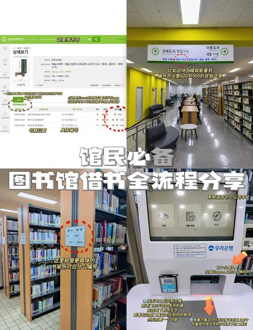 领阅是什么意思