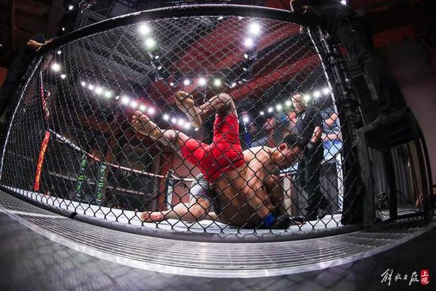 ufc正赛完整视频图标
