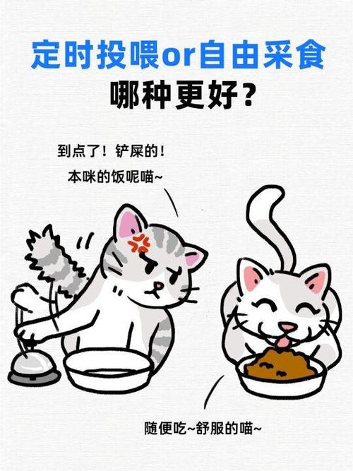 幼猫自己吃饱了会停吗截图