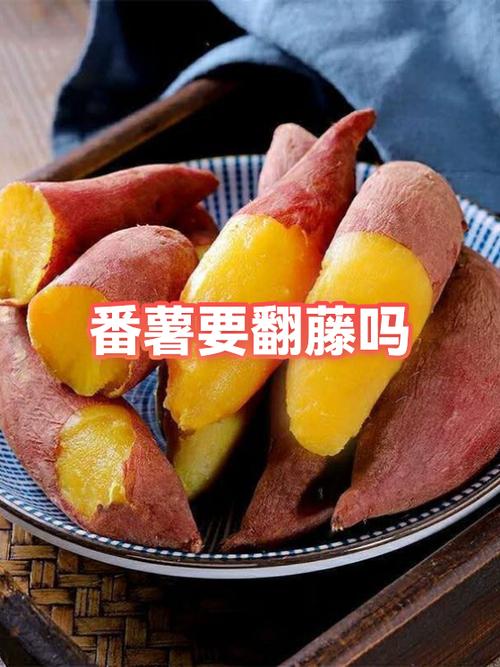 番薯平台二次接码