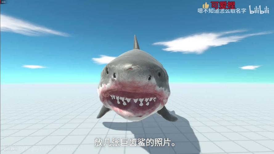 中国唯一一只巨齿鲨