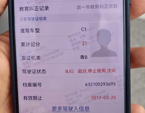 本人驾驶证查询游戏截图
