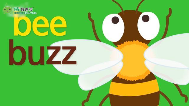 buzz英文