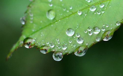 雨露的情感意思是什么?截图