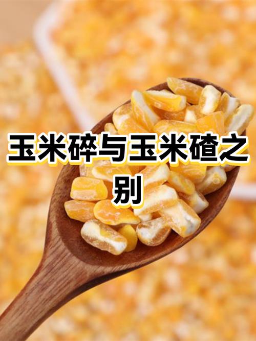 500元一吨玉米碎