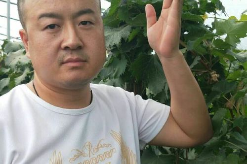 蓝宝石的管理技术视频