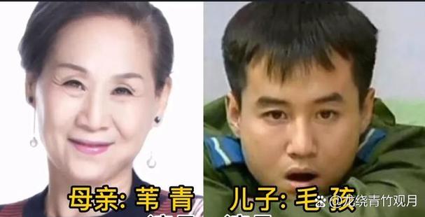 铁娃二弟的收入