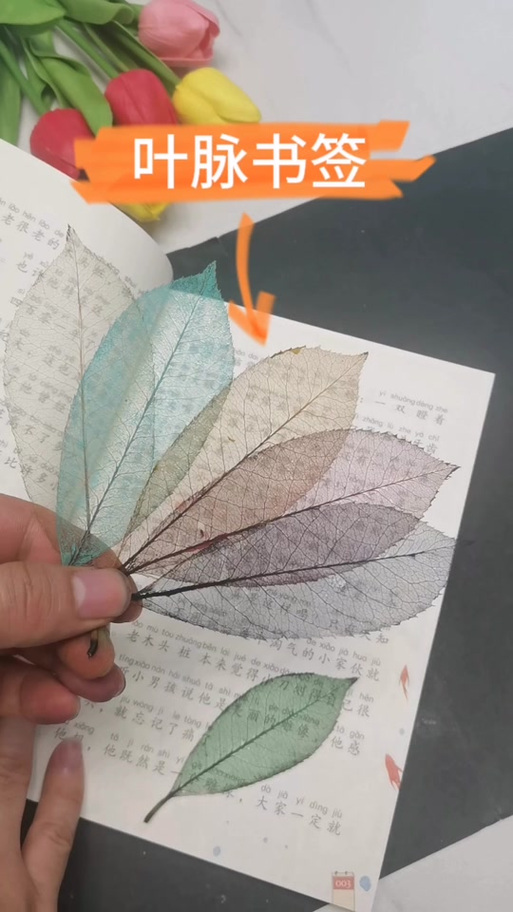 树叶脉络书签制作方法