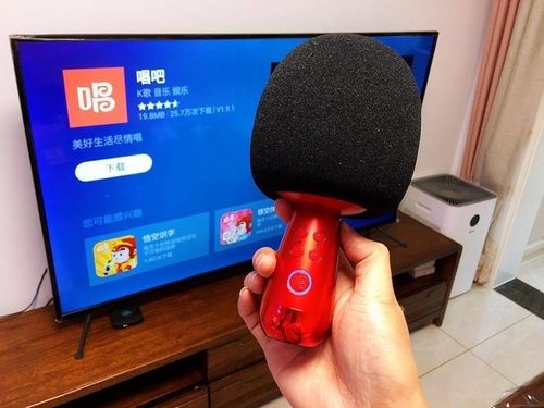 唱吧小巨蛋连索尼电视蓝牙