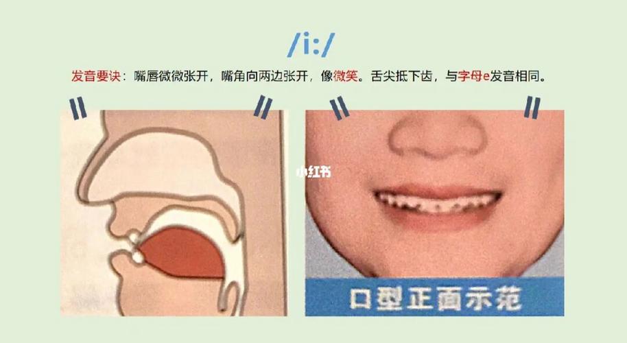 i一共有几种发音