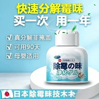 屋里有霉味怎么去除