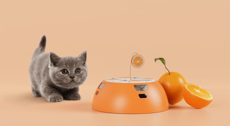 自制立体盒子小猫机关