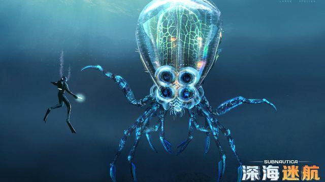 章鱼星球ATV
