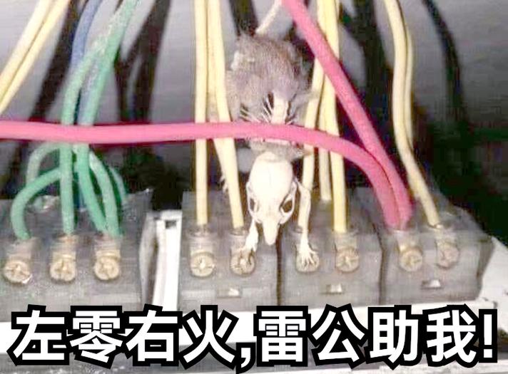 给我电表情包