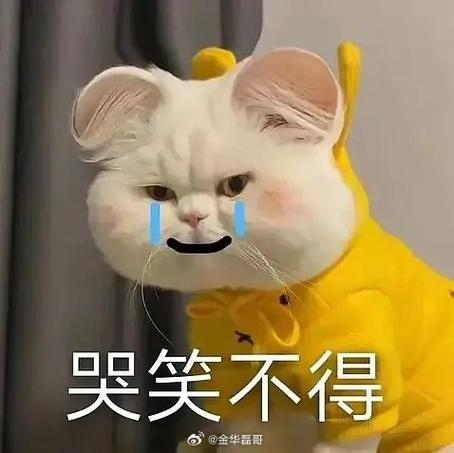 不开心趣图