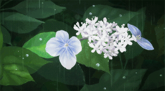 雨露指的是女人截图
