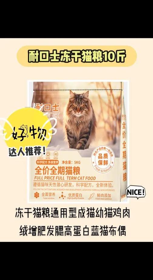 小猫吃猫粮好还是吃饭好缩略图