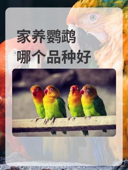 羽毛球线寿命一般多久