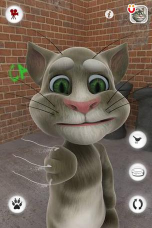 Tom cat Tom Cat