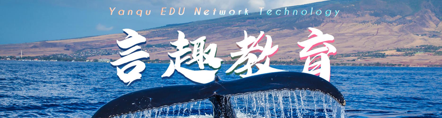言趣教育广告视频