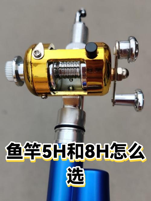 5h和8h的鱼竿哪个硬