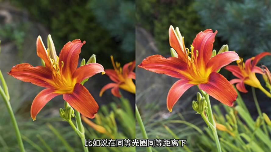 拍照如何虚化背景图标