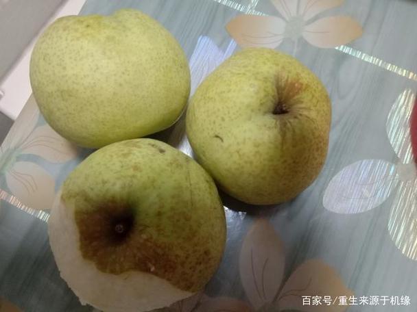 梨吃多了的危害缩略图