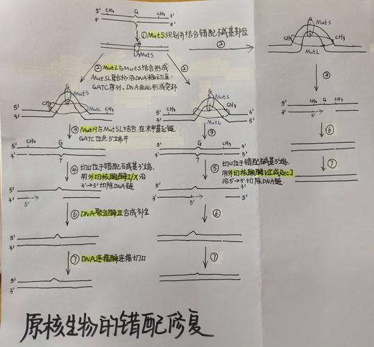 错误代码val81截图