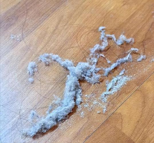晚上手机一照卧室都是灰尘