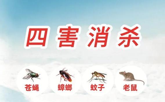 和老鼠在一个房间会不会被咬