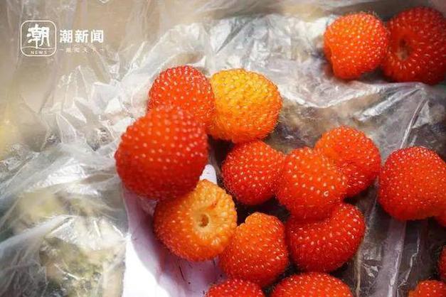 草莓logo的日本潮牌