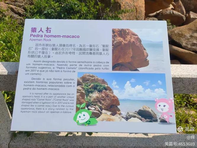 澳门龙爪角简介