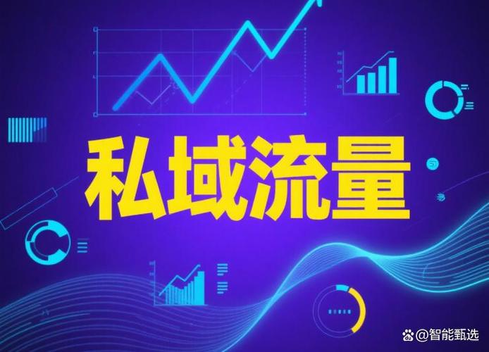 推流公司最厉害的三个公司