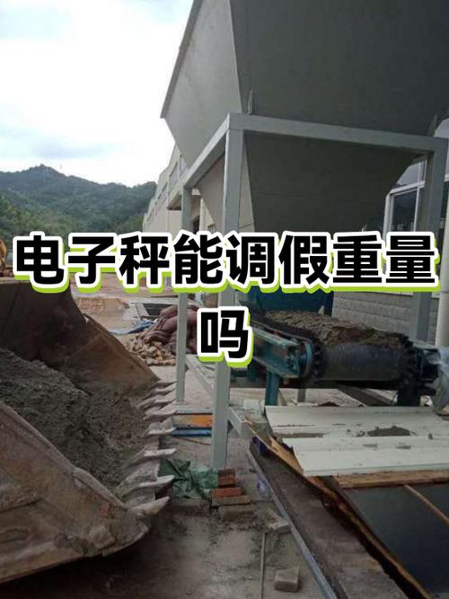 电子秤可以调整假重量吗图标
