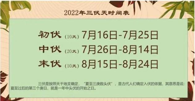 三伏天什么意思图标