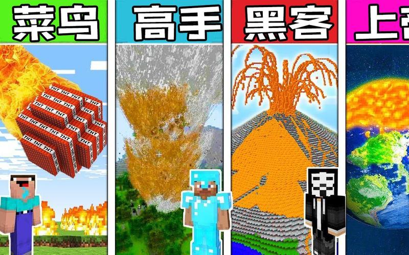 我的世界菜鸟S高手