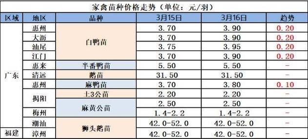 2024.1.23-明天鹅价截图