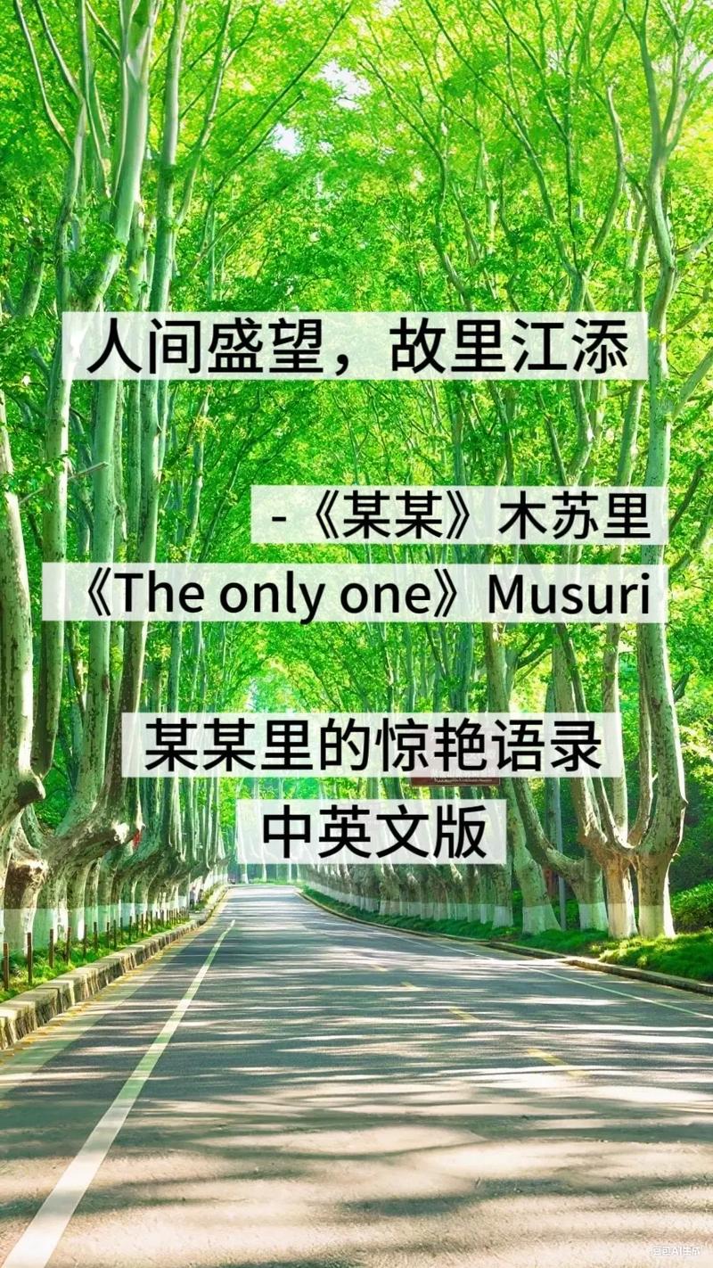 名噪一时是褒是贬图标