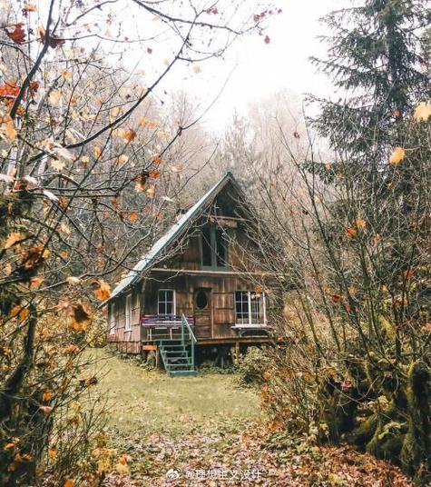 林中小屋取景