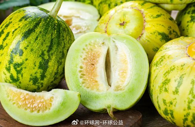 瓜甜图标