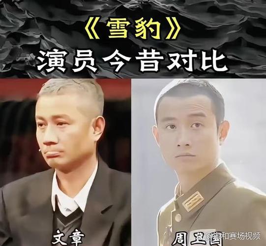 文章雪豹十七集未删减截图