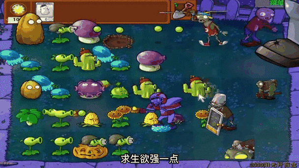 1个盲盒vs僵王缩略图