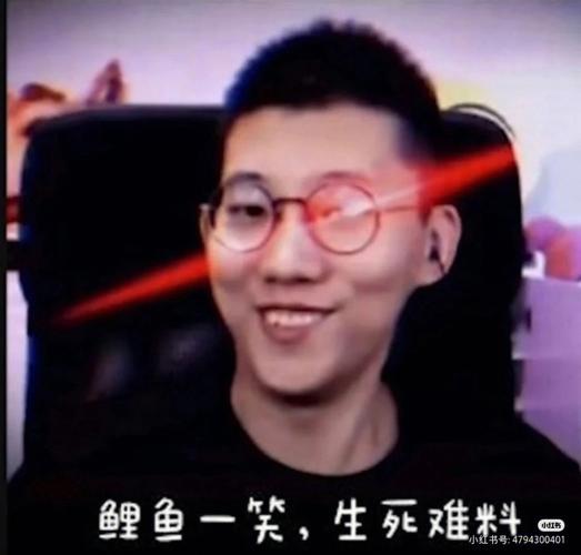 鲤鱼ace我是飞鱼
