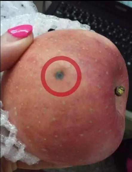 苹果上有针眼特别甜还便宜截图