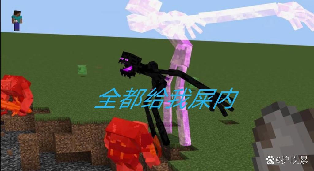 末影人与凋零骷髅合体