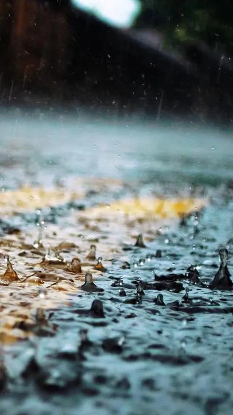 听雨感悟人生截图